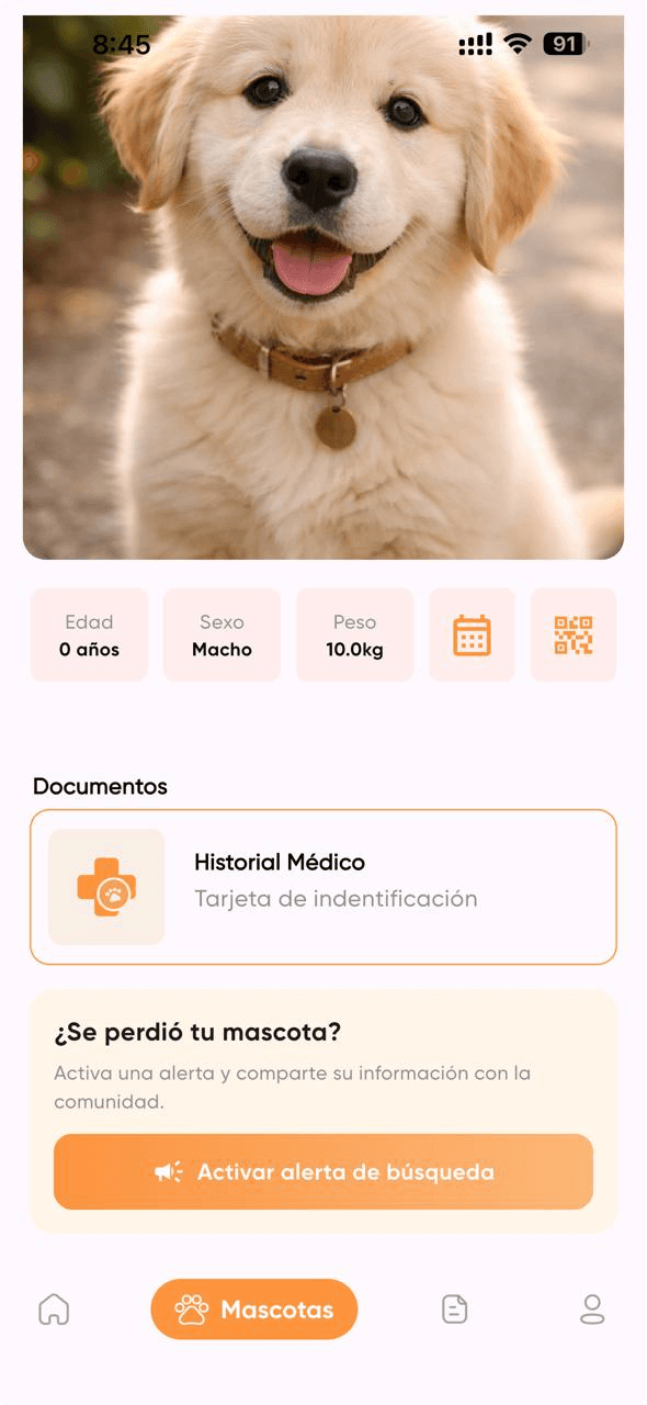 Pantalla de alerta de búsqueda en PetVetfy